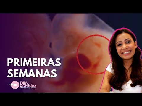 FIRST WEEKS OF PREGNANCY, WHAT HAPPENS? FIRST MONTH OF PREGNANCY | Good Pregnancy