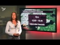 Nieuws van 18-06-2013