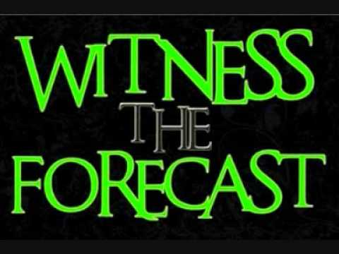 Witness The Forecast - Ocean Waves And Those Betrayed