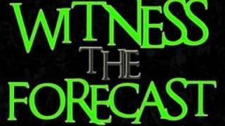 Witness The Forecast - Ocean Waves And Those Betrayed