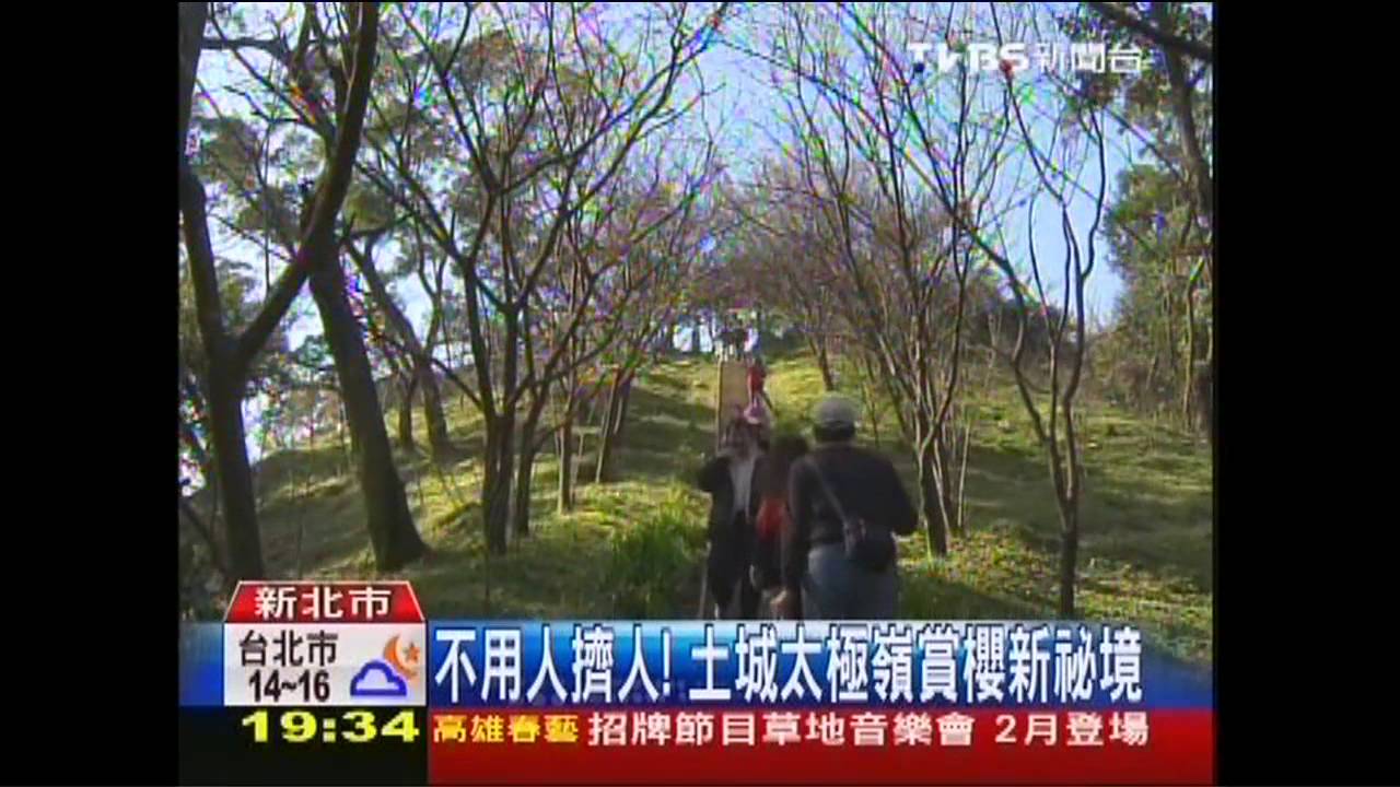 不用人擠人！　土城太極嶺賞櫻新祕境