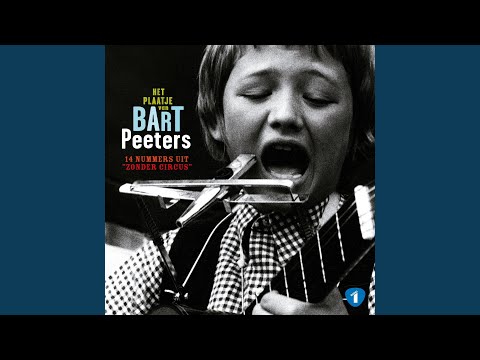 Zonder woorden - Bart Peeters