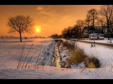 Poisonoise Music - Guest Mix - EPISODE 156 - PROTUBERANCE