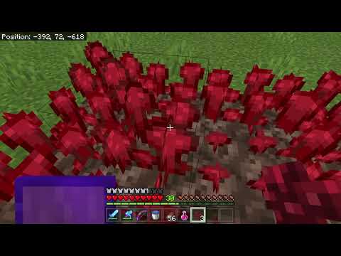 Hellforge SMP Episode 1