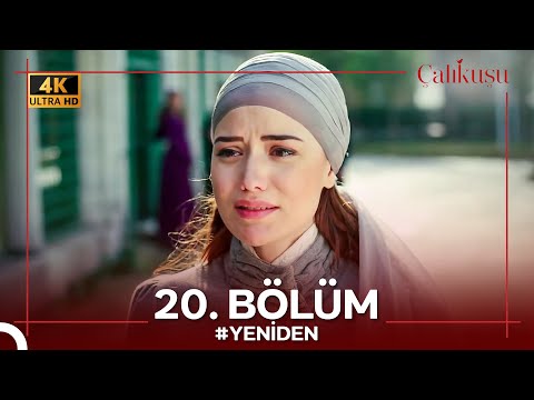Çalıkuşu 20. Bölüm #YENİDEN (4K)
