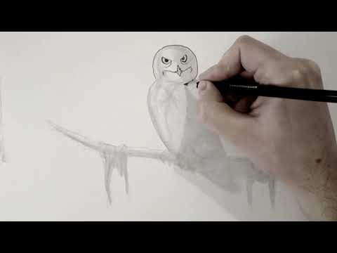 Drawing SCP-1049 | The Bonetaker Owl