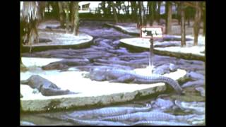 preview picture of video 'Vintage Florida Films 1942 - Part Two'