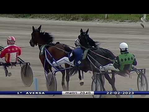 Aversa trotto 22 Febbraio 2023 - 1° Corsa