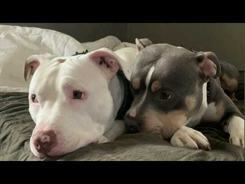 Kar - All Have Money (ft. Y.A.K.)