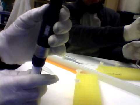 Precipitation of nucleic acids after phenol/chloroform extraction of FGF4 plasmid