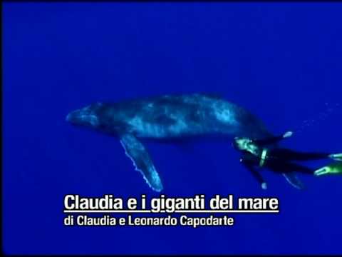 I Giganti del Mare