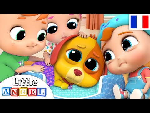 Bingo Le Chien a un Bobo | Comptines pour Bébé | Little Angel Français
