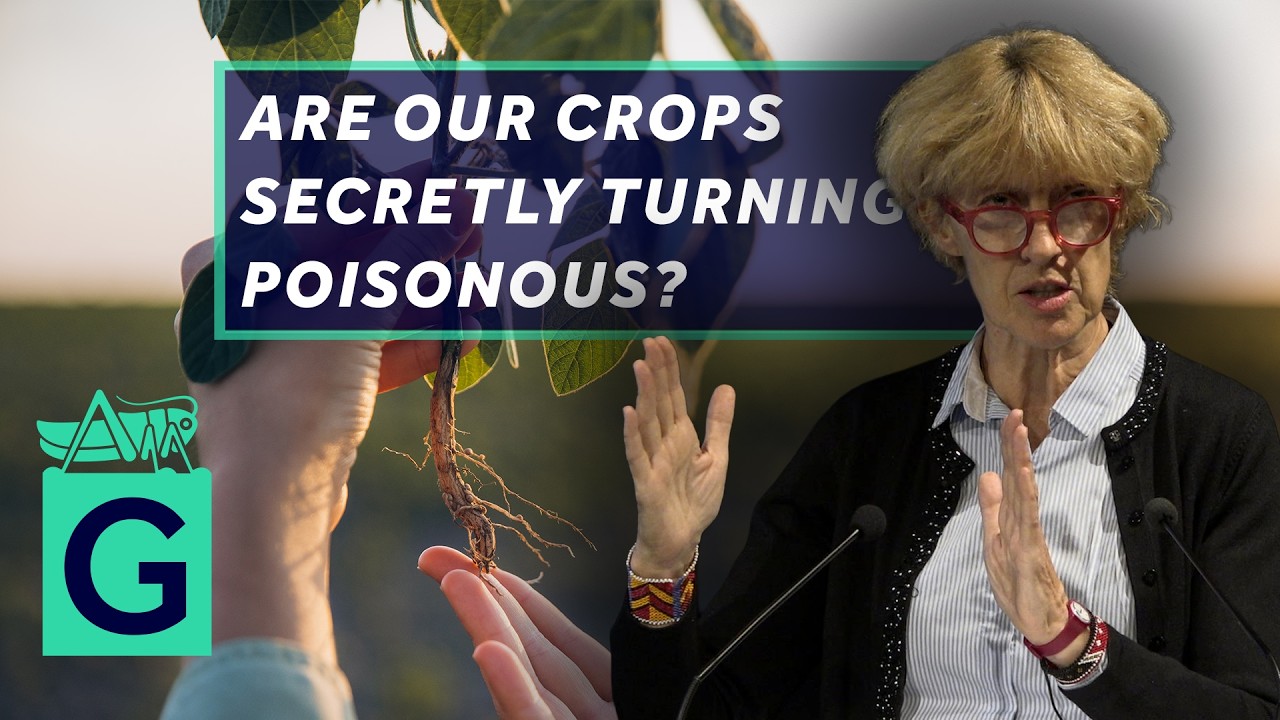 Food Security - YouTube