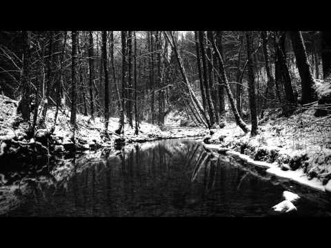 Woods of Ypres - The Shams of Optimism / Crossing the 45th Parallel