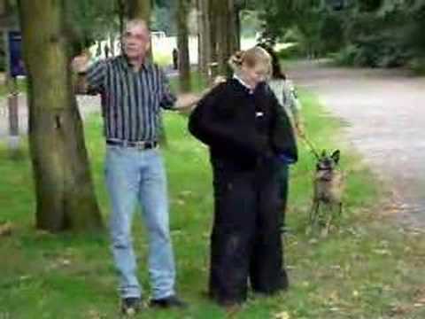 Irene aangevallen door politiehond