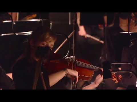Viola, Britten - Peter Grimes, Interlude IV - Passacaglia Solo Viola - Live recording