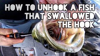 How to Unhook A Fish That Swallowed The Hook