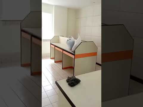  1800 Sq.ft. Office Space for Rent in AJC Bose Road, Kolkata