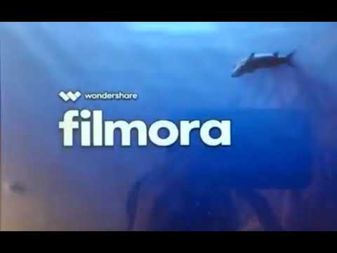 Finding Nemo Barracuda2