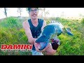 Murray Cod On Frogs