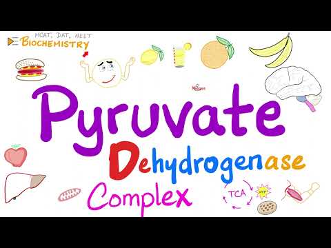 Glycolysis and Krebs Cycle (TCA) - Pyruvate dehydrogenase complex (PDH) - Vitamin B1 (Thiamine)