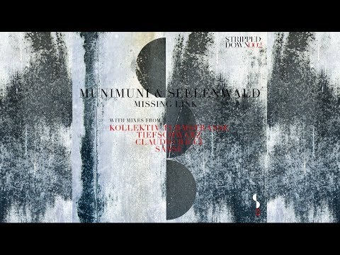 munimuni & Seelenwald -  Missing Link (Claudio Ricci Remix)