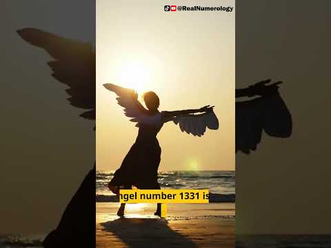 1331 Engelszahl enthüllt.