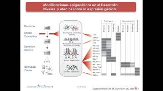 T05_26_REgulacion_Epigenetica_y_Diferenciacion_1