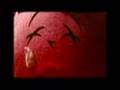 Slim Cessna's Auto Club - Pine Box