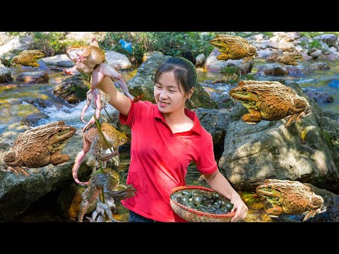 Harvest FROG, SNAIL processed into dishes by the stream | Ella Daily Life