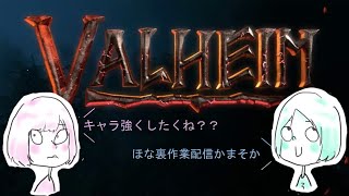 【裏作業】こんな時間に配信めずらしくね？【Valheim】