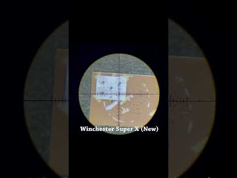 Winchester Super X 22 LR Ammo At Big 5