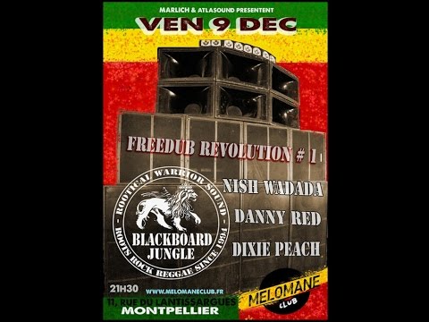 Freedub Revolution 1 BLACKBOARD JUNGLE feat Nish Wadada & Ranking Saiden (MARLICH DIFFUSION)