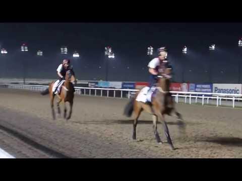 Dan Excel and Military Attack at trackwork, Kranji, Wednesday, May 15th 2013