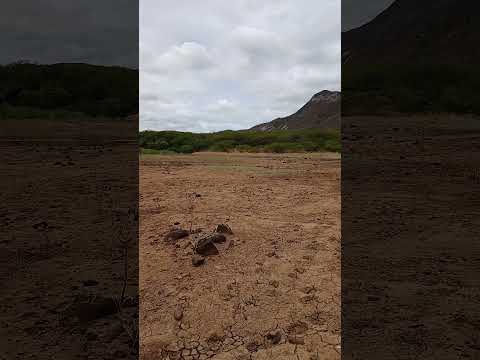 o assude do sítio saco do feijão quixaba pb,  manhã da terça-feira 21/07/26.