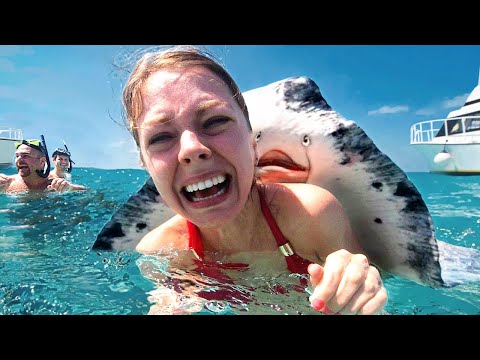 15 Times Animals Surprised Humans...