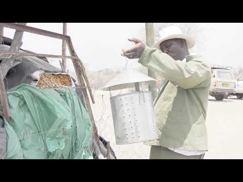 Elephants for Africa's Community Empowerment