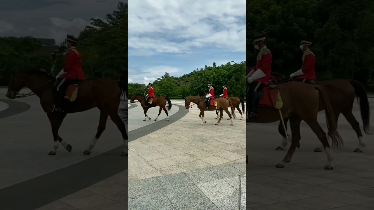 YouTube Short thumbnail