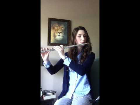 The Chronicles of Narnia Soundtrack - The Battle (Flute)