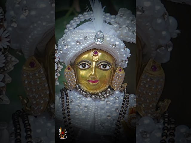 હરિકૃષ્ણ મહારાજ