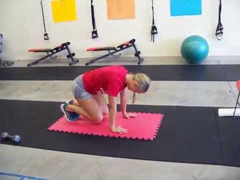 Day 21 Plank: Crouching Tiger