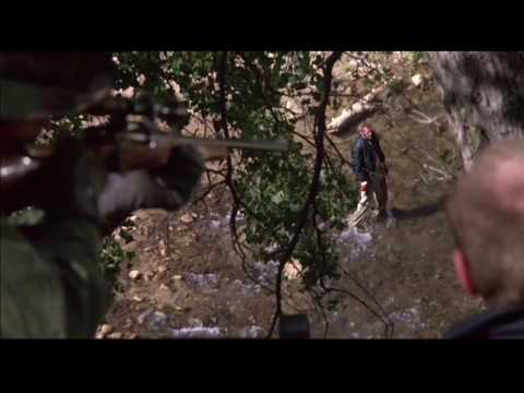 Desperate Hours | Albert's Last Stand