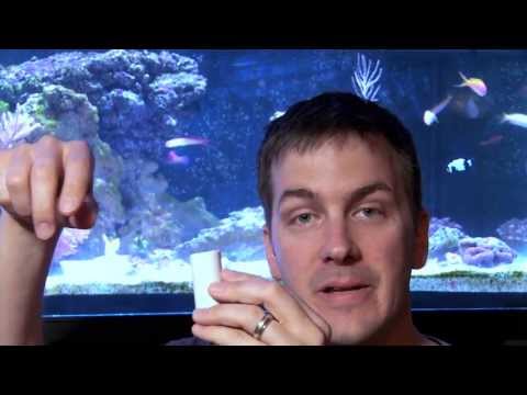 Mr. Saltwater Tank TV Friday AM Quick Tip #129: Protect Your Frags From Harm