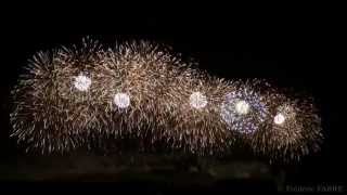 preview picture of video 'Feux d'artifice Cité de Carcassonne - 14 juillet 2013 (en intégralité et en HD)'