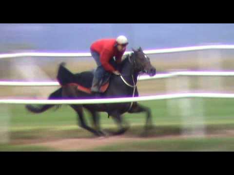 2012-05-19 Bulsara on the training tracks