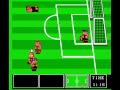 Nintendo World Cup (2/2) - Final Match: GER vs ARG (21-3) demonstration
