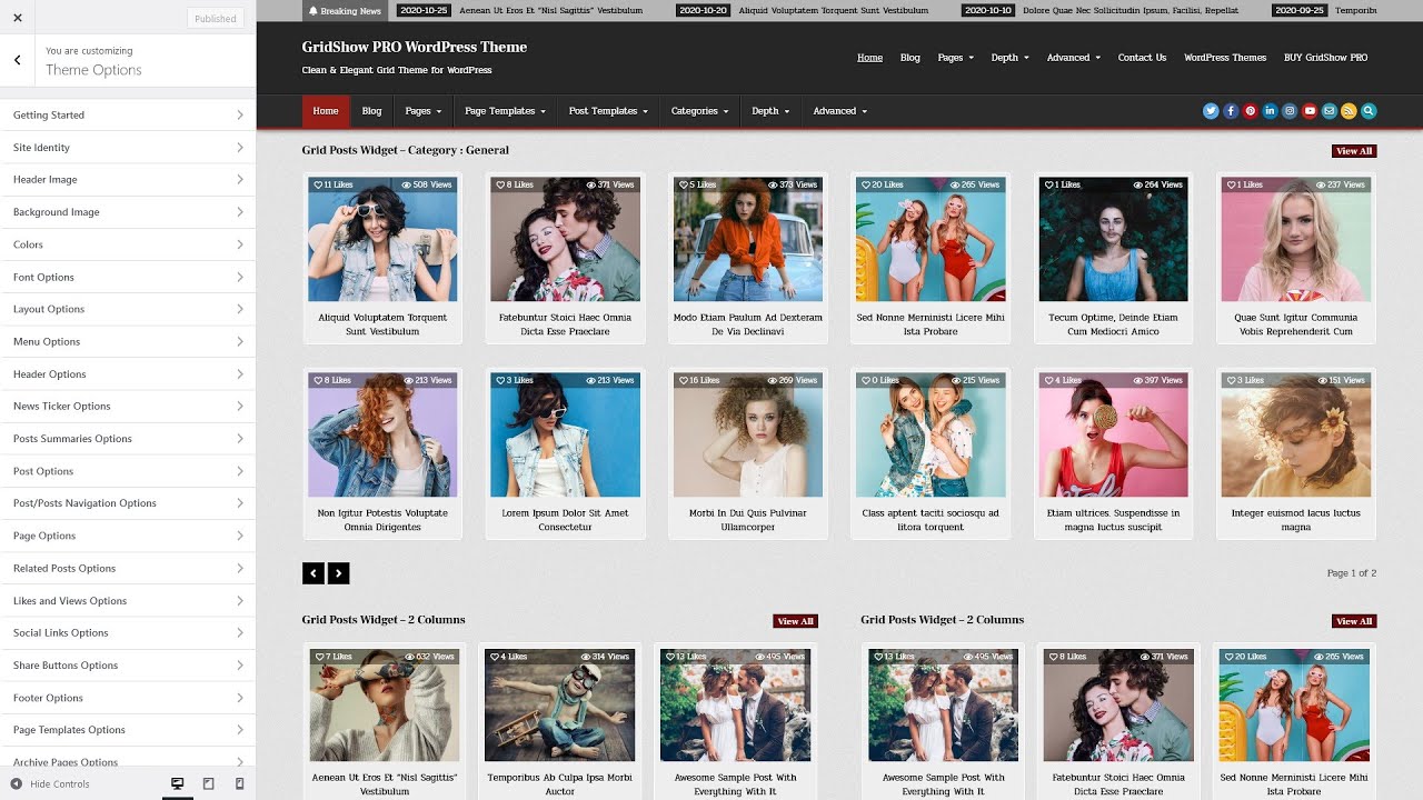 Customizer Theme Options - GridShow PRO WordPress Theme