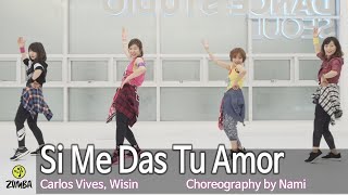 Si Me Das Tu Amor - Carlos Vives, Wisin / Choreography / ZIN™ / Wook&#39;s Zumba® Story / Nami
