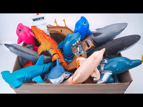 🦈toy asmr🦈 ZURU Robo Alive White Shark & Robo Sea Animals Toys ASMR Satisfyng With Unboxing