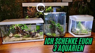 I GIVE you 3 AQUARIUMS